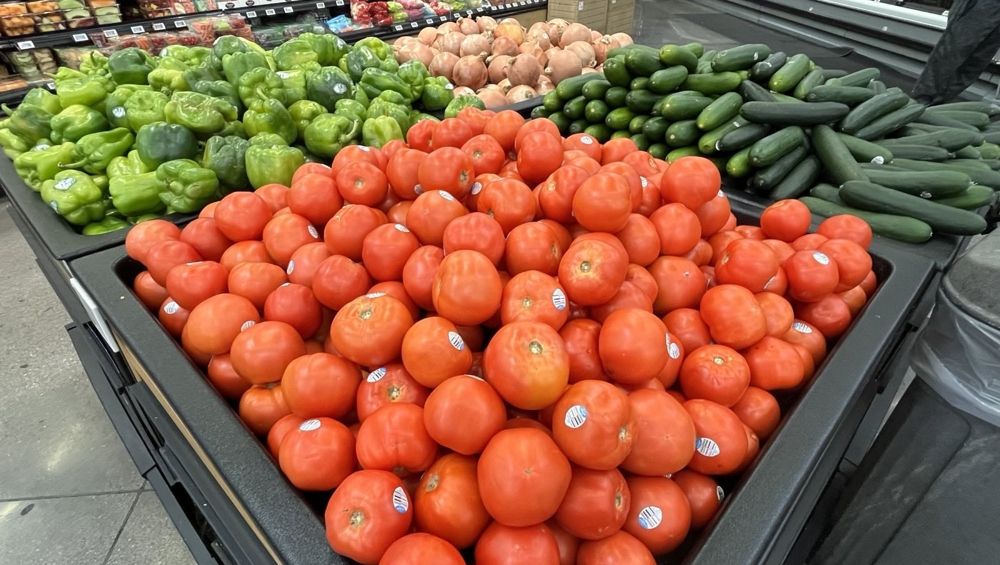 What’s Next for CBD in Sports Nutrition?